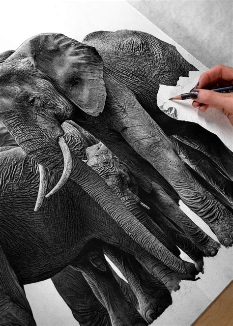 Realistic Elephant Drawing at PaintingValley.com | Explore collection ...