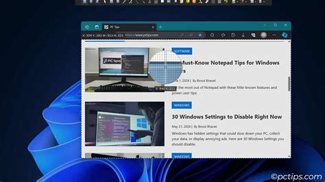 Image result for ShareX Capture Guide
