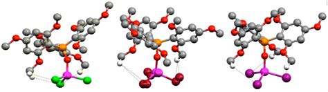 Crystal Structures of Gallium(III) Halides with Bulky Ligands