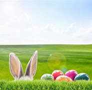 Image result for Best Easter Bunny