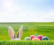 Image result for Easter Bunny Rabbit Stickers