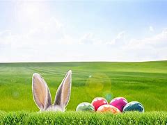 Image result for Easter Bunny Cartoon Jokes