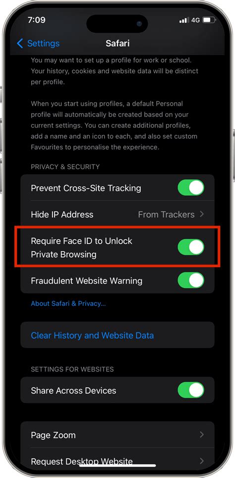 Image result for To Turn Off InPrivate Browsing