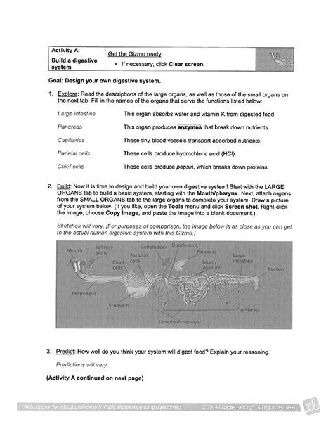 Digestive System Gizmo Worksheet Answers