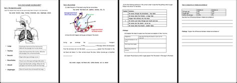 Image result for Free Science Lessons Gas Exchange