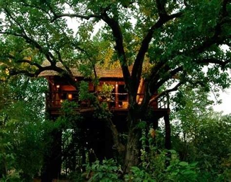 Tree House Hideaway, Bandhavgarh, Bandhawagarh - Get Tree House ...