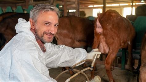 Dairy Goat Farming 的图像结果