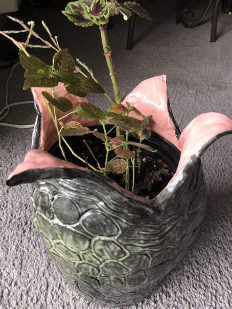 Image result for Alien Egg Planter