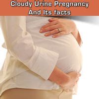 Cloudy Urine in Early Pregnancy