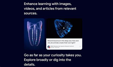 Image result for Google Free Learning