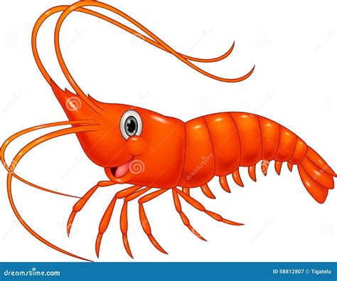 Cartoon Shrimp Vector Illustration | CartoonDealer.com #38025422