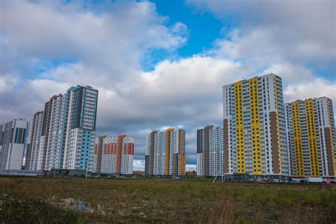 Metropolitan Area 的图像结果