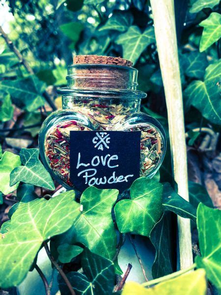 Image result for Powder Lover