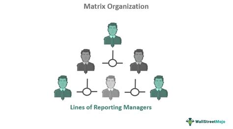 Matrix Organization Explained 的图像结果
