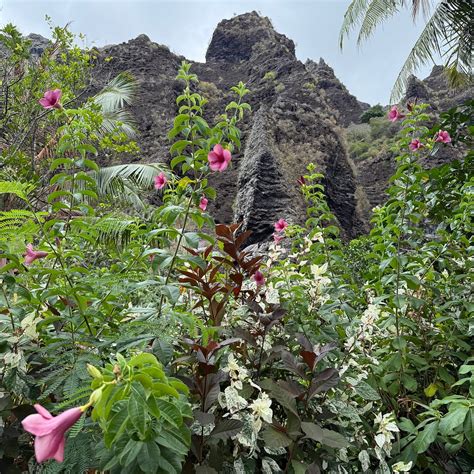 LE NUKU HIVA BY PEARL RESORTS (Taiohae) - 2026 Hotel Reviews, Photos ...
