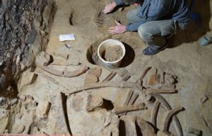 Historical Artifacts, Historical Archaeology & Vintage Finds | Archives ...