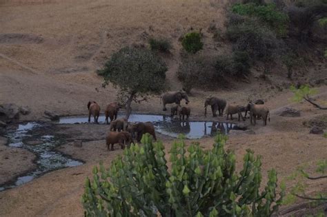 Ancient Wild Safaris (Nairobi) - 2022 What to Know Before You Go (with ...