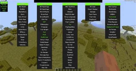 Hacks for Minecraft Java 1.16.5 Free 的图像结果