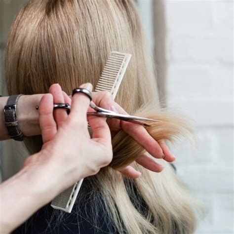 Hair Cut- Basic – Fiesta Services