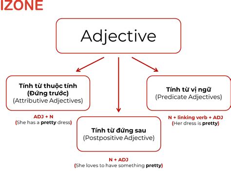 Adj/N là gì? Khái niệm, Cách dùng và Phân loại trong Tiếng Anh
