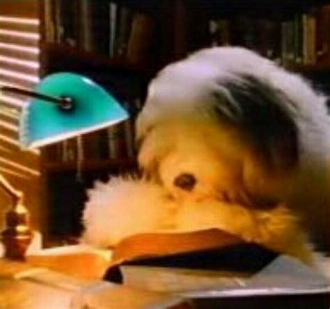 The Shaggy Dog (1994)