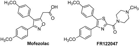 Thiazoles and Thiazolidinones as COX/LOX Inhibitors
