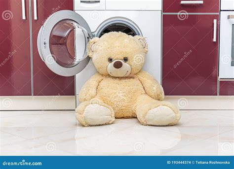Image result for Bear Washing Machine