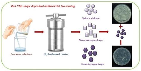 ZnS Nanomaterials with Hexagon and Pentagon Structures: Effect of ...