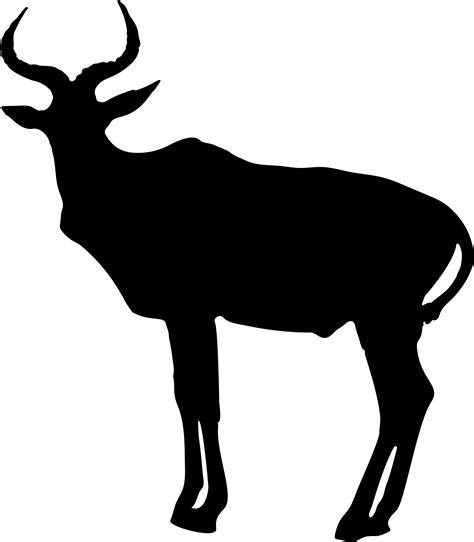 Image result for Best WA. Some Python Projects