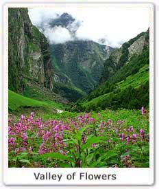 Eco Places Valley of Flowers, Valley of Flowers in Uttaranchal, Best ...