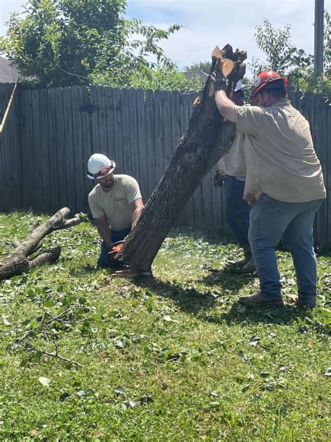 CHICKASAW ELECTRIC COOPERATIVE - Somerville TN - Hours, Directions ...