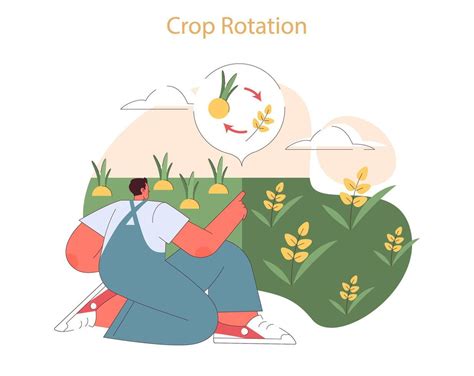 Image result for Crop Rotation