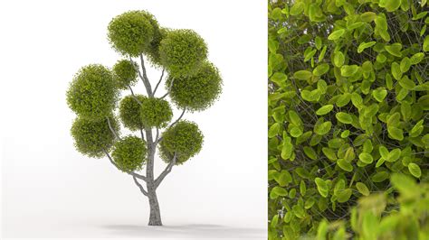 Image result for SpeedTree Modeling