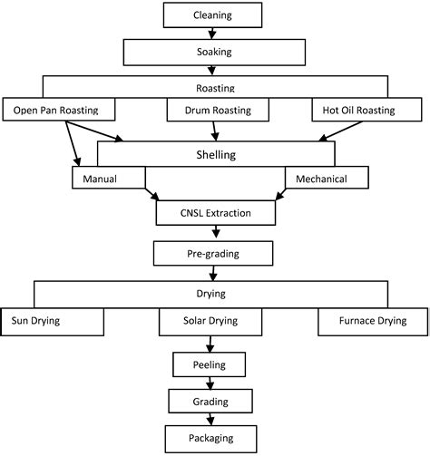 Cashew Nut Oil Extraction Process at Chloe Chauvel blog