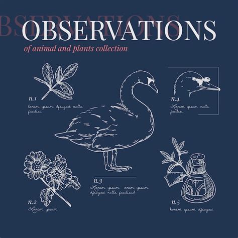 Image result for Collection Stamp Vector Images