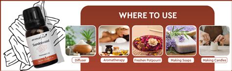 Aromahpure Fragrance Oil | 15 ml | Sandalwood Aroma Oil for Home ...