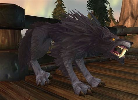 Black Dire Worg - Pet Look | Petopia - Hunter Pets in the World of Warcraft