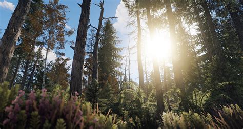 Image result for Rust Game Cost