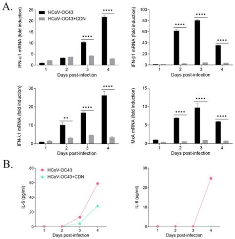Cardamonin as a p38 MAPK Signaling Pathway Activator Inhibits Human ...