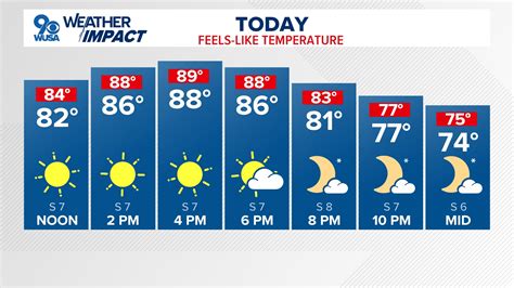 PHOTOS: Annie Hawkins-Turner Holds World's Largest Natural Breasts ...