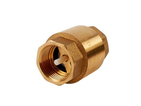 Image result for Spring Check Valve