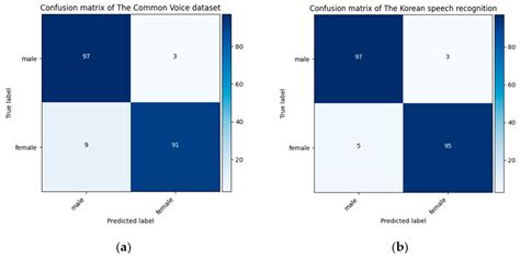 Age and Gender Recognition Using a Convolutional Neural Network with a ...