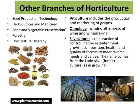 Horticulture introduction - Definition and Branches of Horticulture | PPT