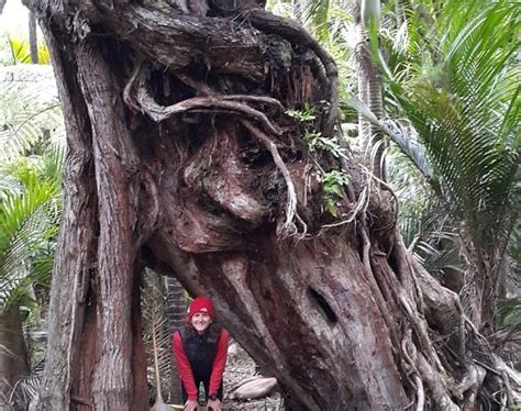 RAPU SURF (2026) All You Need to Know BEFORE You Go (with Reviews ...