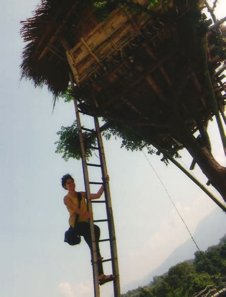 Welcome to Tree House Burney Hills (Danakgre) Tura- 794101, West Garo ...