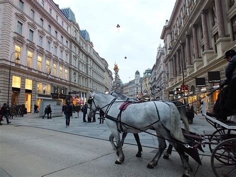 Stephansplatz (Vienna) - 2020 What to Know Before You Go (with Photos ...