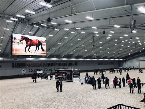 WEC Ocala: My Kingdom For A Horse