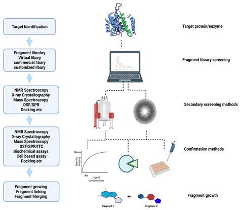 Fragment-Based Drug Discovery against Mycobacteria: The Success and ...