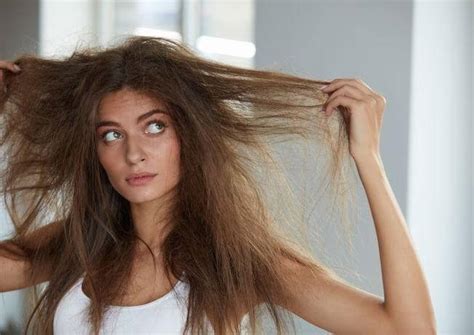 Say Goodbye To Dry Hair With 360° Hair Elixir Therapy - Blog