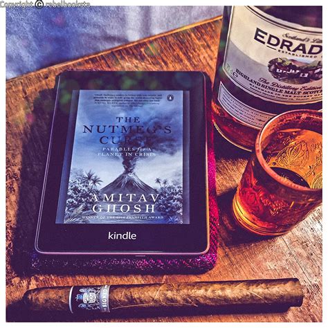 Buy NUTMEGS CURSE Book Online at Low Prices in India | NUTMEGS CURSE ...